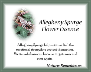 Allegheny Spurge Flower Essence - Nature's Remedies