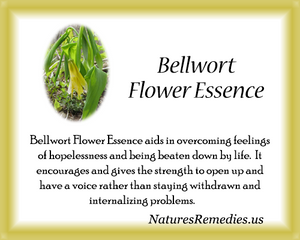 Bellwort Flower Essence - Nature's Remedies