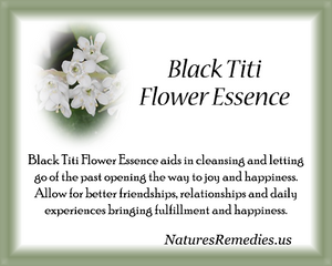 Black Titi Flower Essence - Nature's Remedies