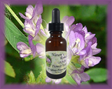 Alfalfa Flower Essence - Nature's Remedies