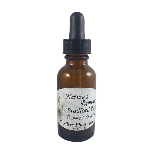 Bradford Pear Flower Essence - Nature's Remedies