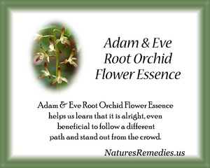 Adam & Eve Root Orchid Flower Essence - Nature's Remedies