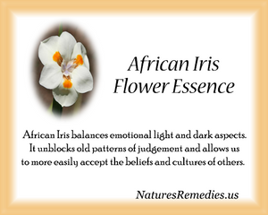 African Iris Flower Essence - Nature's Remedies