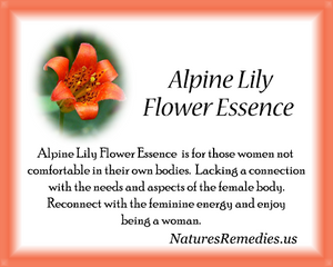 Alpine Lily Flower Essence - Nature's Remedies