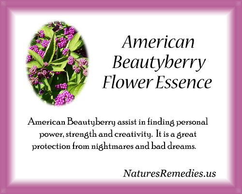 American Beautyberry Flower Essence - Nature's Remedies