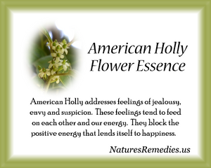American Holly Flower Essence - Nature's Remedies