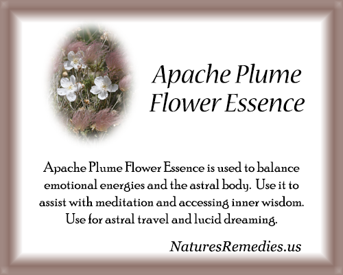 Apache Plume Flower Essence - Nature's Remedies