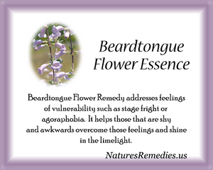 Beardtongue Flower Essence - Nature's Remedies