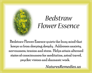 Bedstraw Flower Essence - Nature's Remedies