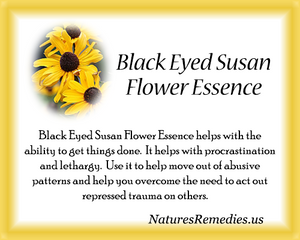 Black Eyed Susan Flower Essence - Nature's Remedies