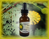 Acacia Flower Essence - Nature's Remedies