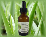 Aloe Vera Flower Essence - Nature's Remedies