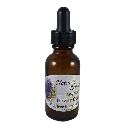 Angelonia Flower Essence - Nature's Remedies