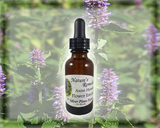 Anise Hyssop Flower Essence - Nature's Remedies