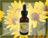 Arnica Flower Essence - Nature's Remedies