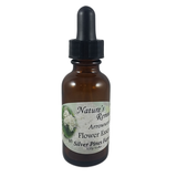 Arrowwood Flower Essence - Nature's Remedies