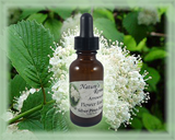 Arrowwood Flower Essence - Nature's Remedies