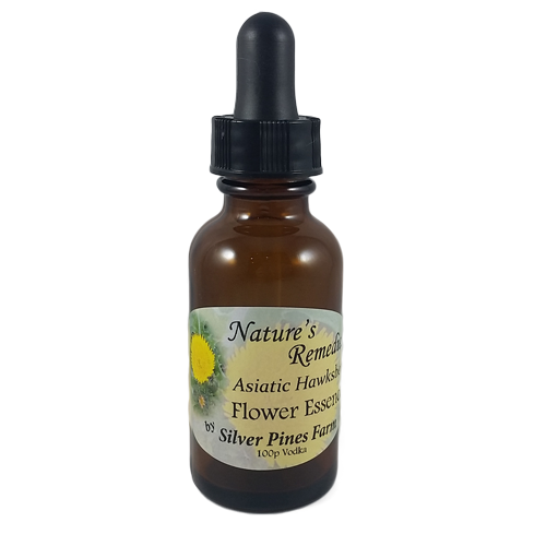 Asiatic Hawksbeard Flower Essence - Nature's Remedies