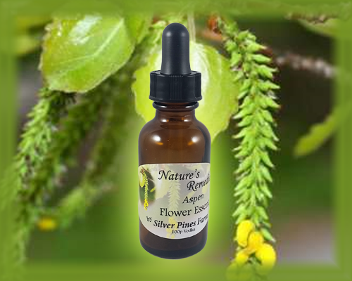 Aspen Flower Essence - Nature's Remedies – Nature's Remedies by Silver ...