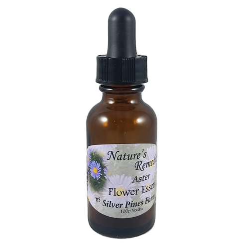 Aster Flower Essence - Nature's Remedies