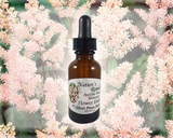 Astilbe 'Peach Blossom' Flower Essence - Nature's Remedies