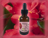 Begonia Flower Essence - Nature's Remedies