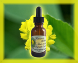 Black Medic Flower Essence - Nature's Remedies