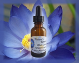 Blue Lotus Flower Essence - Nature's Remedies
