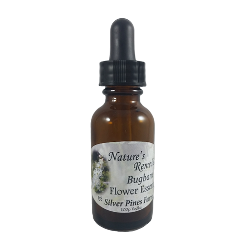 Bugbane Flower Essence - Nature's Remedies