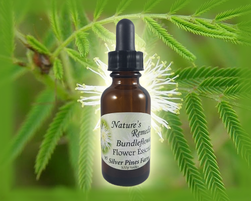 Bundleflower Flower Essence - Nature's Remedies