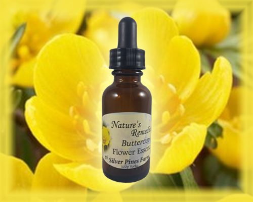 Buttercup Flower Essence - Nature's Remedies