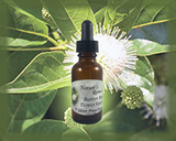 Button Bush Flower Essence - Nature's Remedies