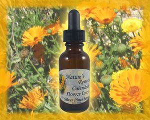 Calendula Flower Essence - Nature's Remedies