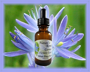 Camas Flower Essence - Nature's Remedies