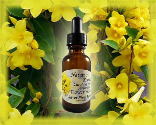 Carolina Yellow Jessamine Flower Essence - Nature's Remedies