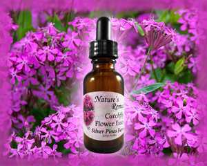 Catchfly Flower Essence - Nature's Remedies