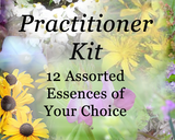 Practitioner Kit - 12 Individual Essences of your choice
